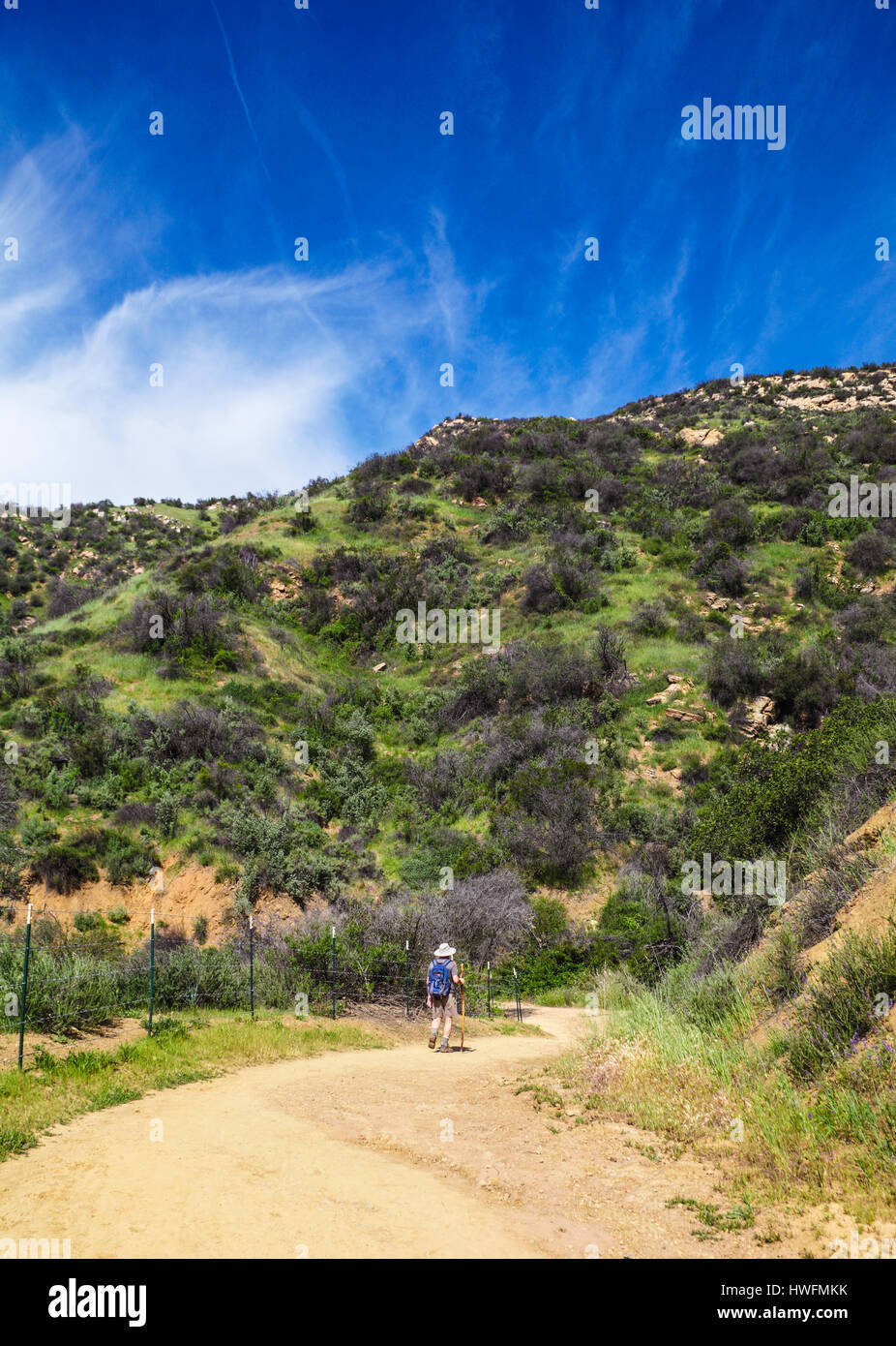 Hiker on the Shelf Road Trail in Ojai, California Stock Photo Alamy