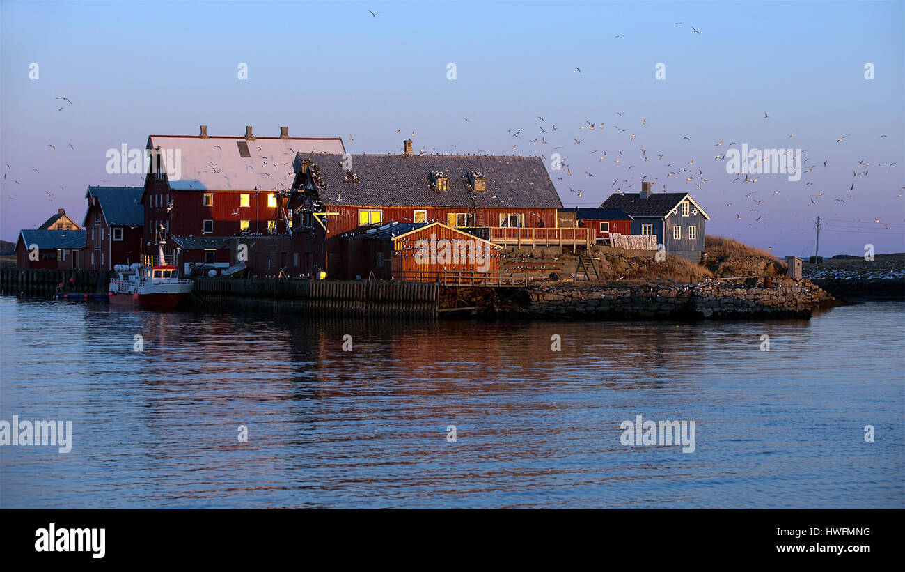 The well known buildings at Kaaröya, Röst in Lofoten, Norway. Photo ...