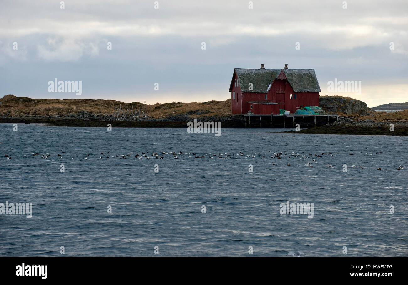 Scenery from the island of Röst, Lofoten, Norway in February 2013 Stock ...