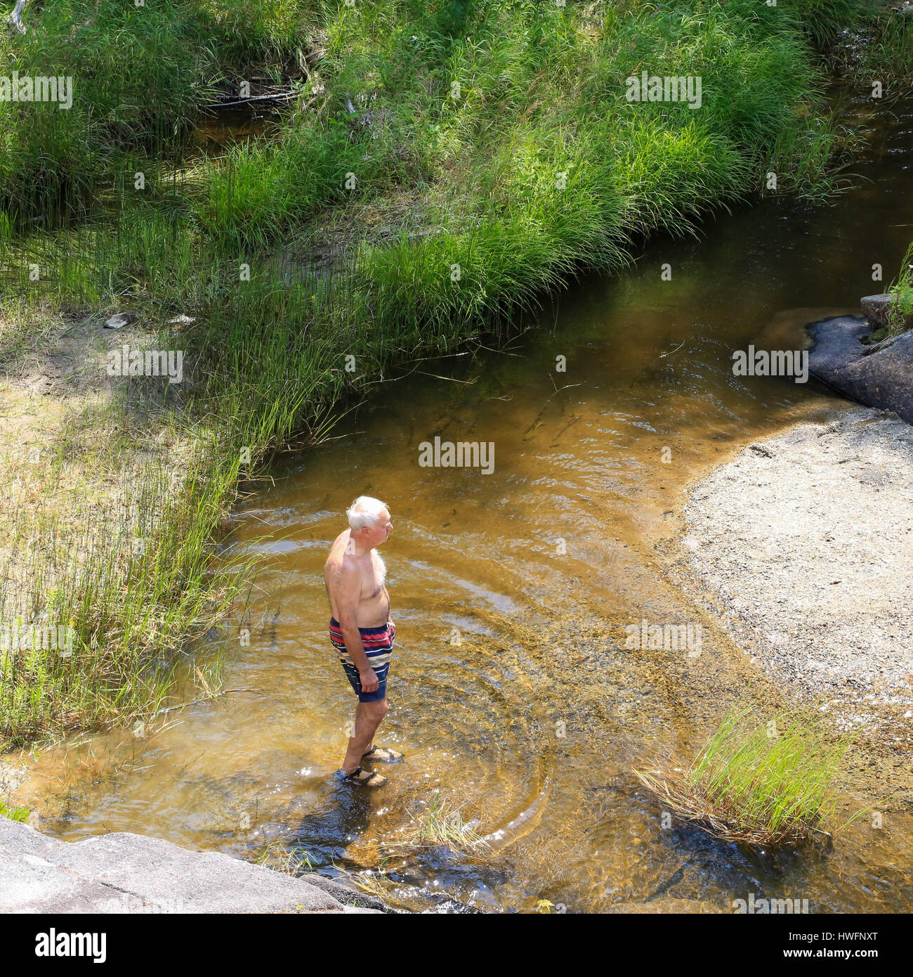 A swimmer in a still mountain pond in Baxter State Park Stock Photo