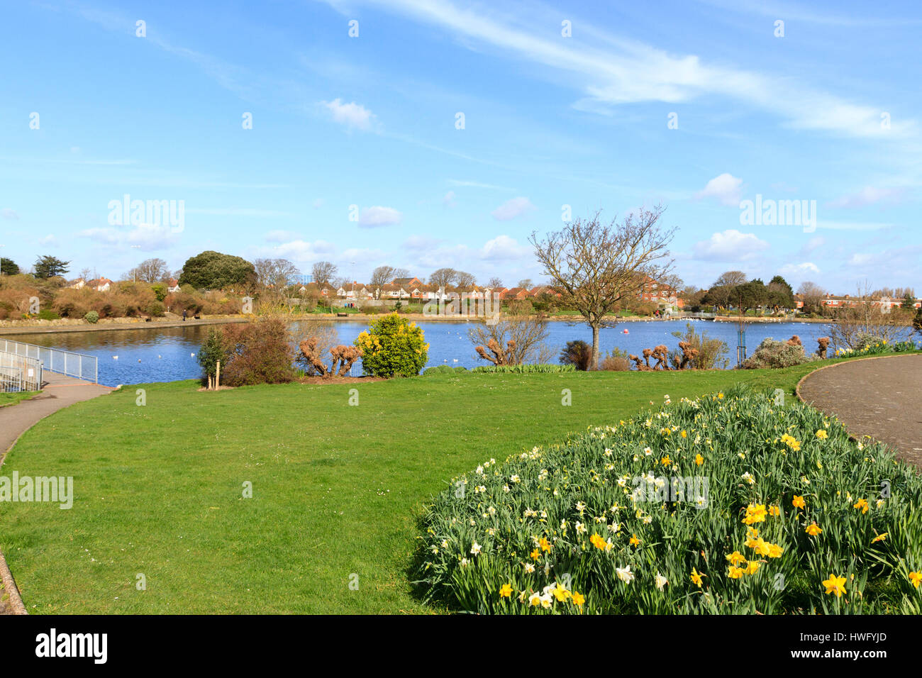 Eastbourne, UK. 21st Mar, 2017. UK weather. Daffodils in full bloom on a bright but cold morning in Eastbourne, East Sussex, UK Credit: Ed Brown/Alamy Live News Stock Photo