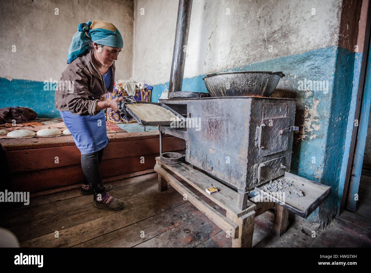 Тәжікстанның әйелдерінің мысығы таза