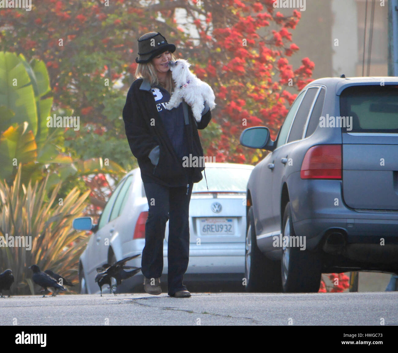 Page 2 Buss High Resolution Stock Photography And Images Alamy