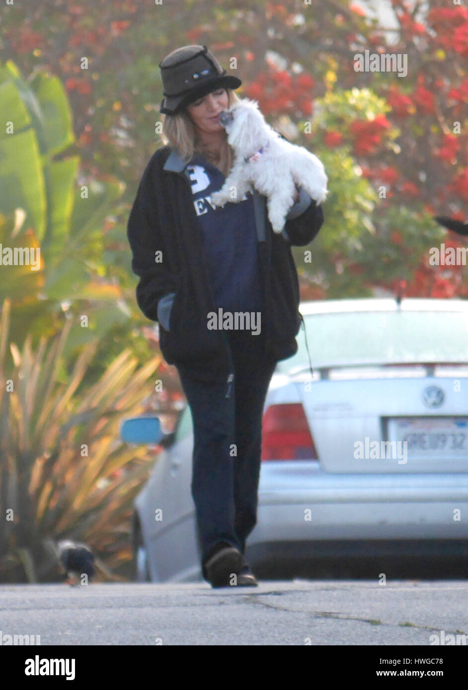 Jeanie Buss, girlfriend of Phil Jackson, walking her dog on March 15, 2014 in Los Angeles, California. Photo by Francis Specker Stock Photo