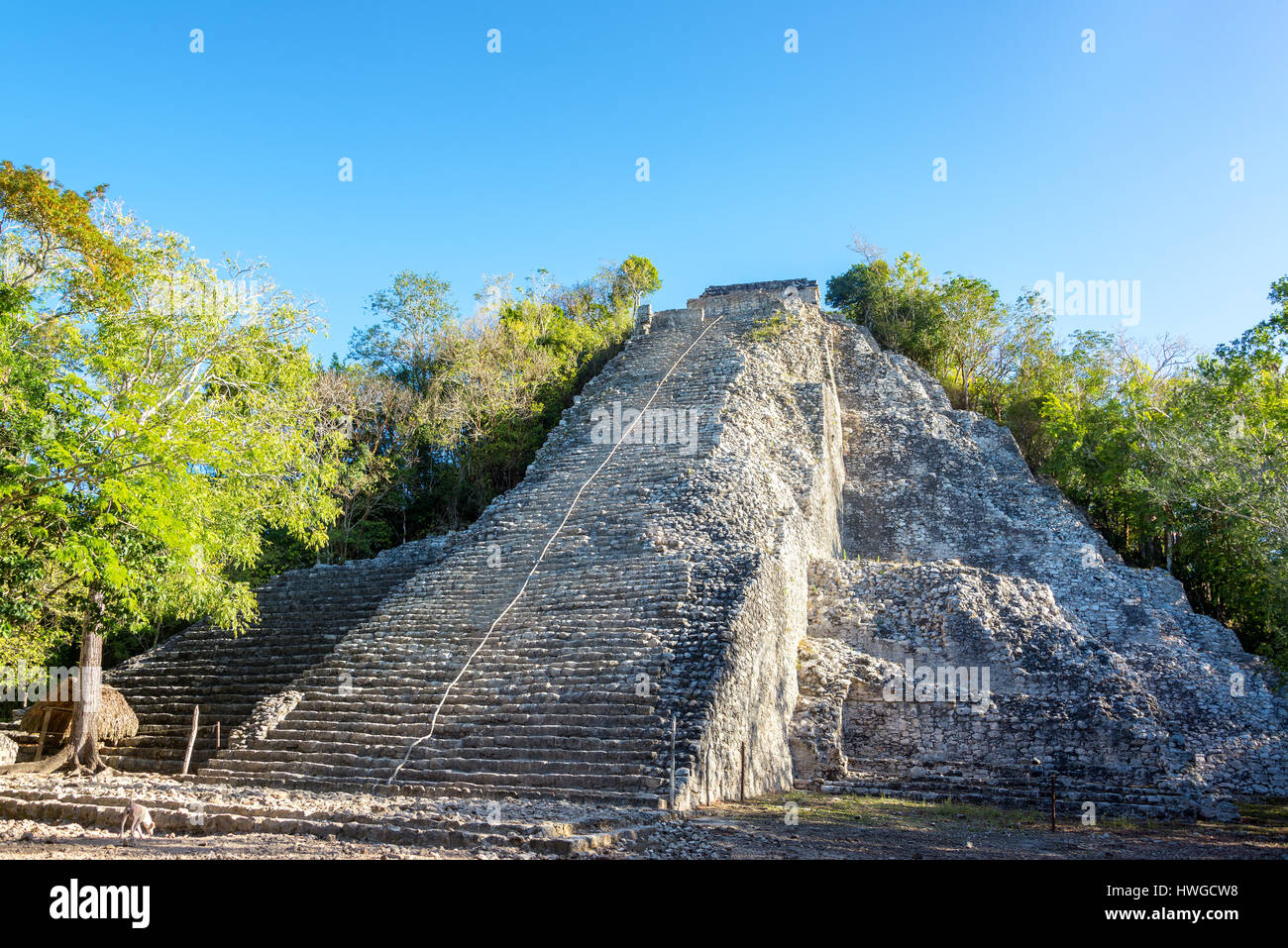 Pyramid of the Mayan ruins of Coba, Mexico.  The name of the pyramid is Nohoch Mul Stock Photo