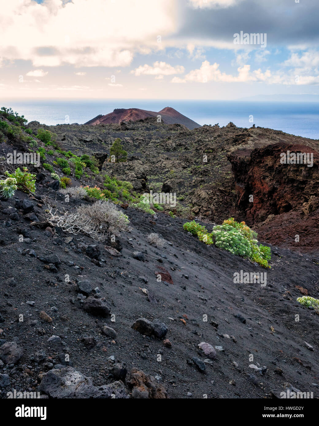 Cumbre Vieja, Fuencaliente. La Palma.  A view along the volcano's winding ridge and geological land formation. Very little vegetation except for Echium Brevirame growing in the lava rock of Cumbre Vieja region.  It's a bright day with fast moving clouds. Stock Photo
