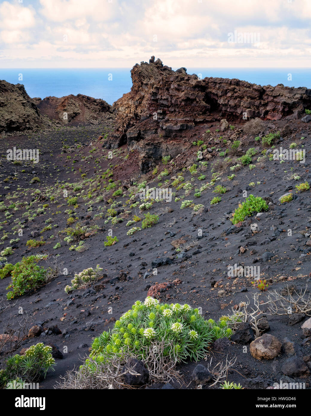 Cumbre Vieja, Fuencaliente. La Palma.  A view along the volcano's winding ridge and geological land formation. Very little vegetation except for Echium Brevirame growing in the lava rock of Cumbre Vieja region.  It's a bright day with fast moving clouds. Stock Photo