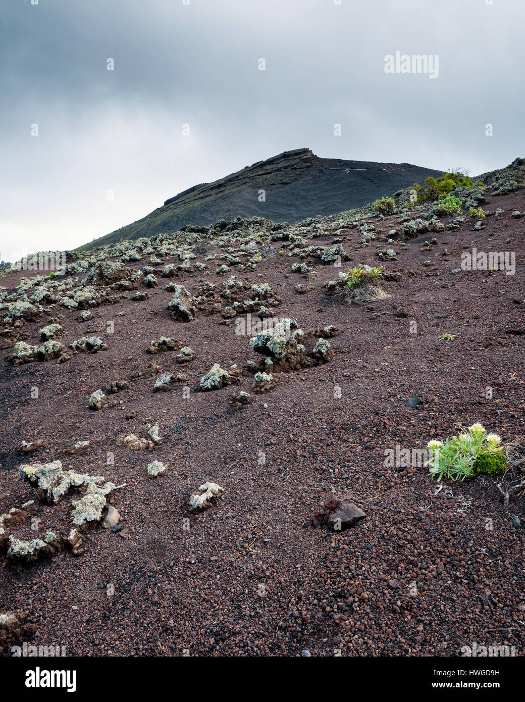 Volcan de San Antonio located in the Cumbre Vieja region in Fuencaliente, La Palma.   Only a small amount of vegetation grows here.  Clumps of lava rock scatter the landscape.  The San Antonio volcano towers high in the background. Stock Photo
