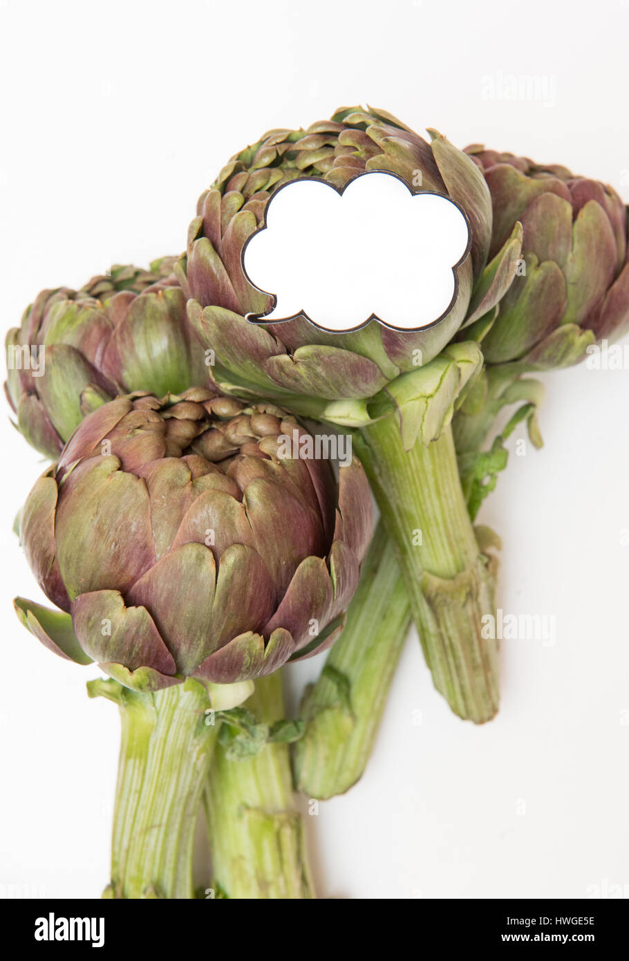 Bunch of fresh raw artichokes and  funny comic style label for market price on white background vertical Stock Photo