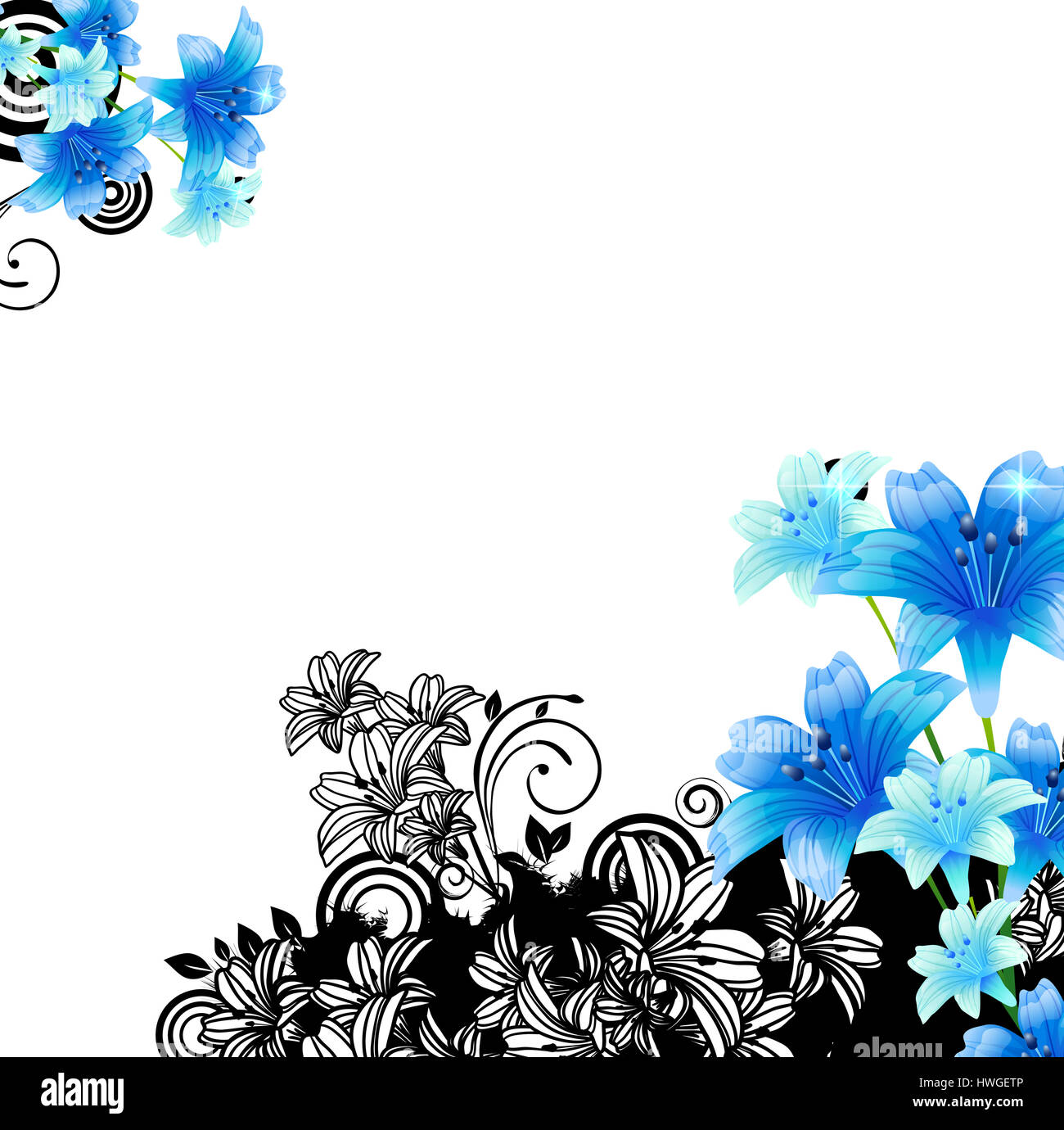 Flower Border Drawing Colour