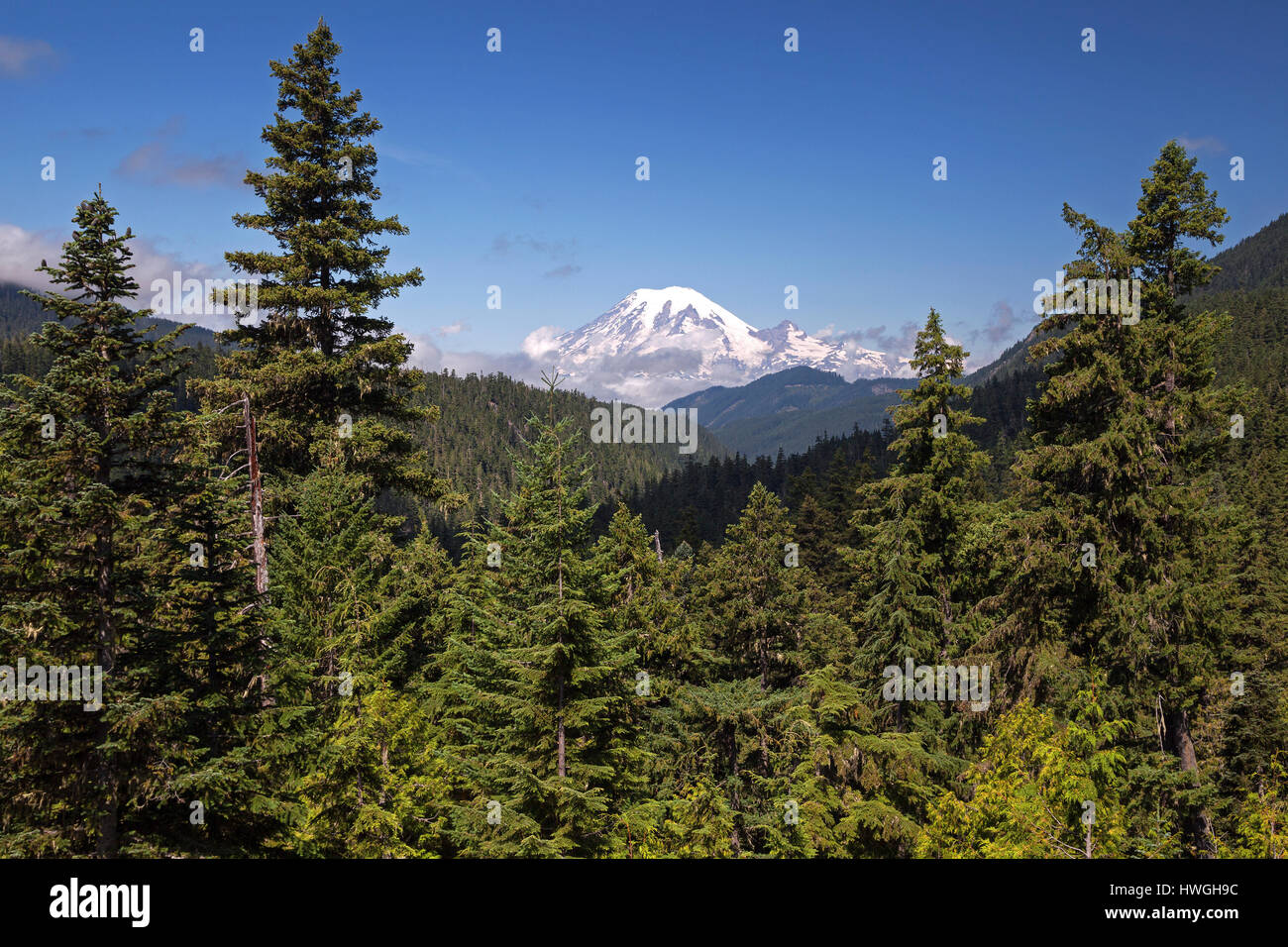 View of the snow-capped volcanic cone of Mount Rainier, Washington, USA Stock Photo