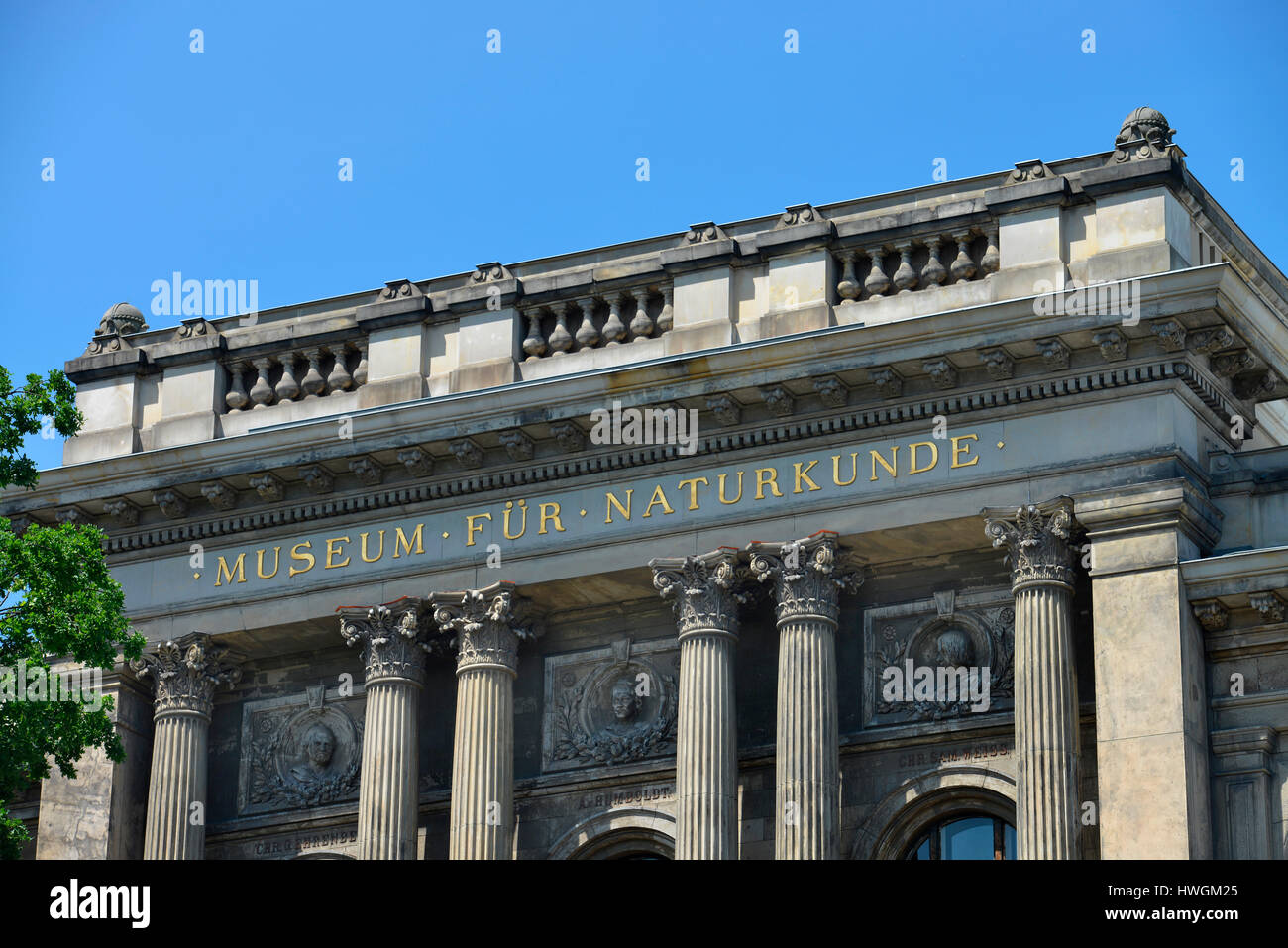 Museum Fuer Naturkunde, Invalidenstrasse, Mitte, Berlin, Deutschland ...