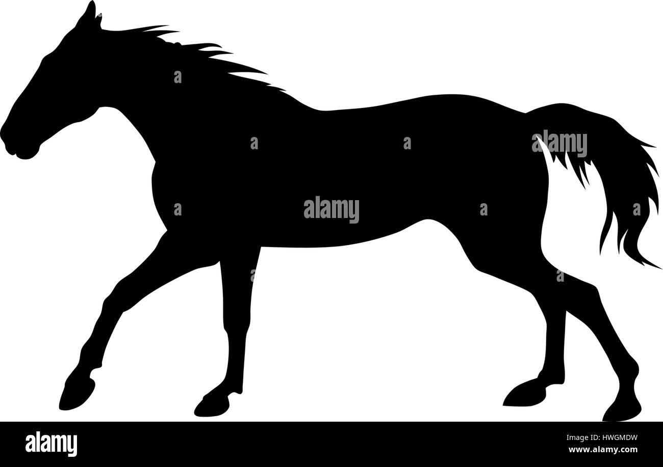 vector illustration of running horse silhouette Stock Vector Image ...