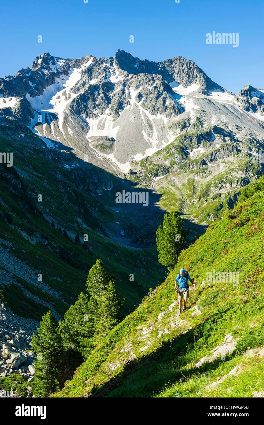 France, Savoie, Arvillard, Hiker walking between the Col d'Arpingon (2276m) and Refuge des Ferices (1920m) Stock Photo