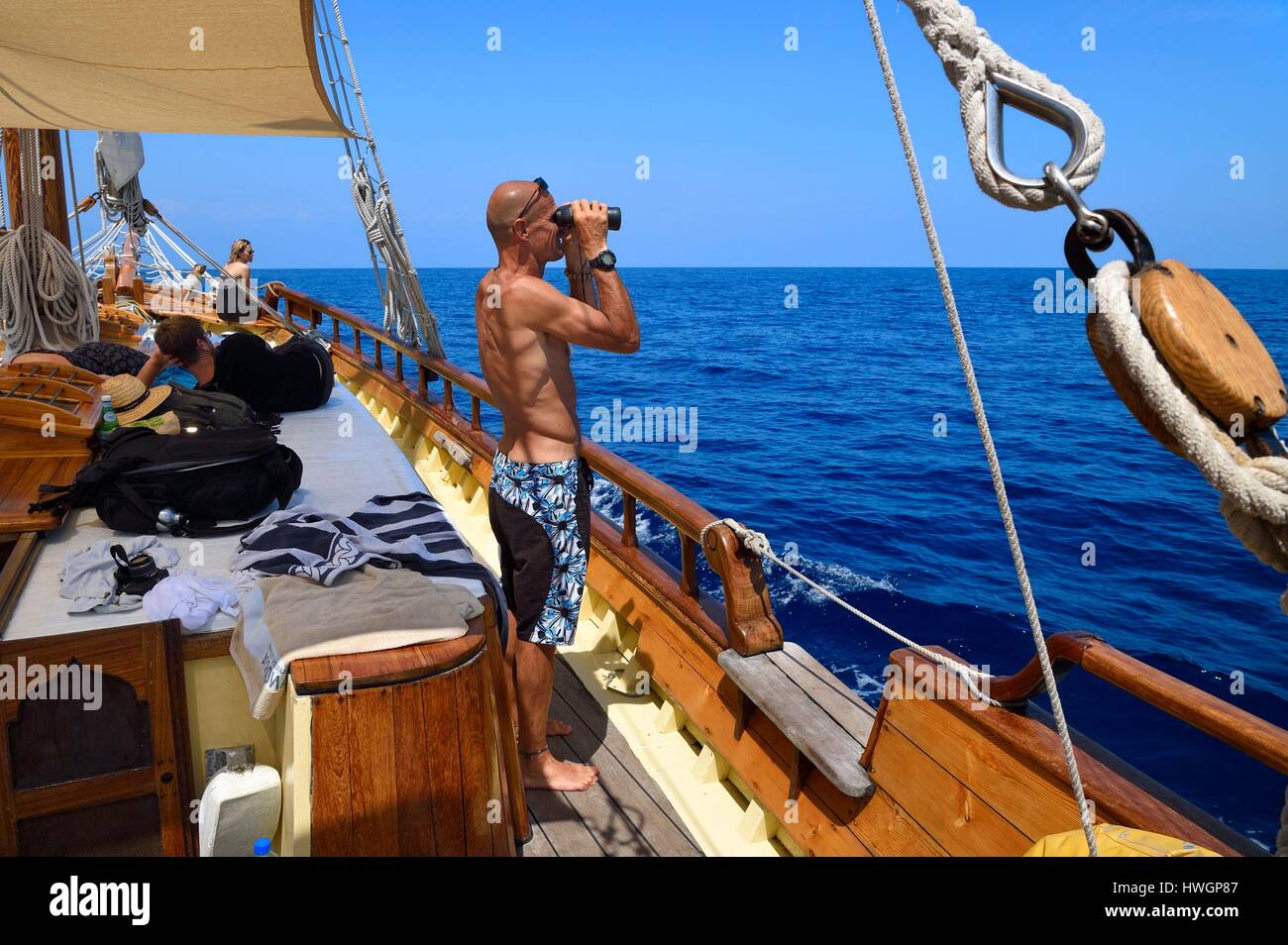 France, Alpes Maritimes, Saint Jean Cap Ferrat, sea trip on the Santo Sospir boat with the SOS Grand Bleu association for watching dolphins and whales in the Pelagos Sanctuary Stock Photo