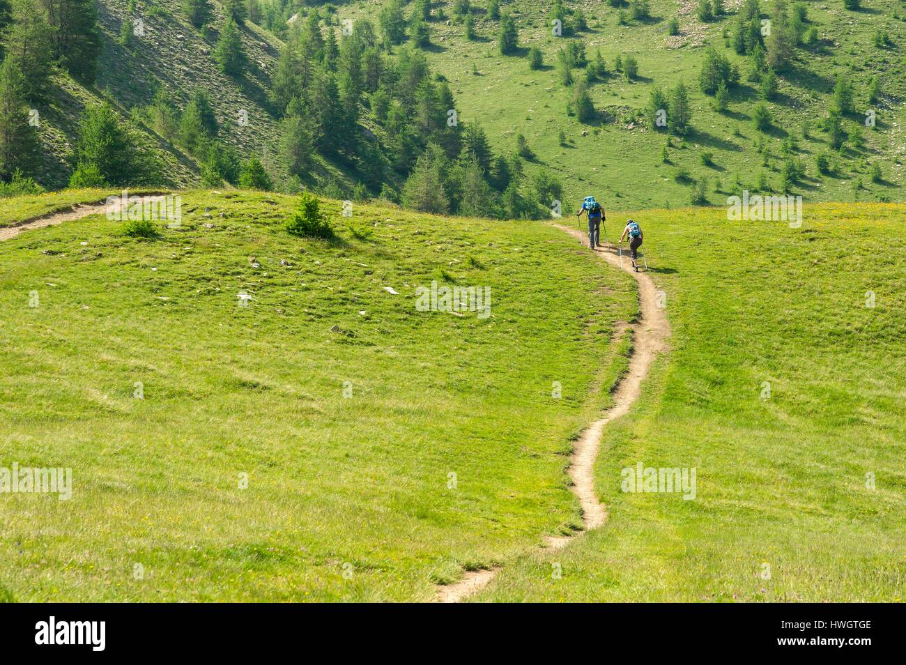 France, Hautes Alpes, Les Orres, hikers walking towards the lake of Ste Marguerite (2227m) Stock Photo