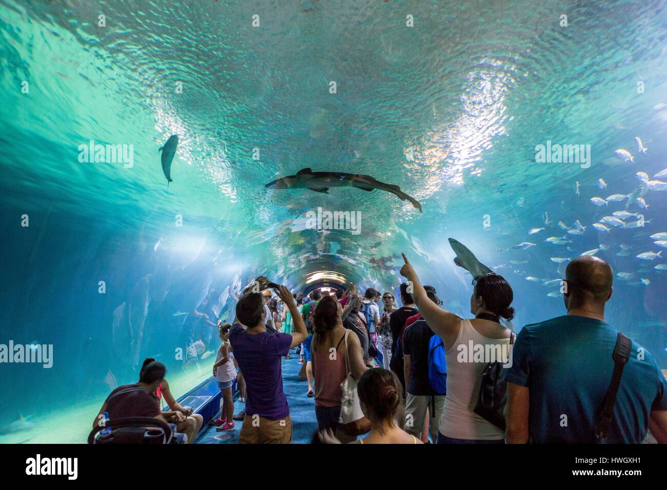 Spain, Valencia, City of Sciences and Arts, Oceanografic, shark tunnel Stock Photo