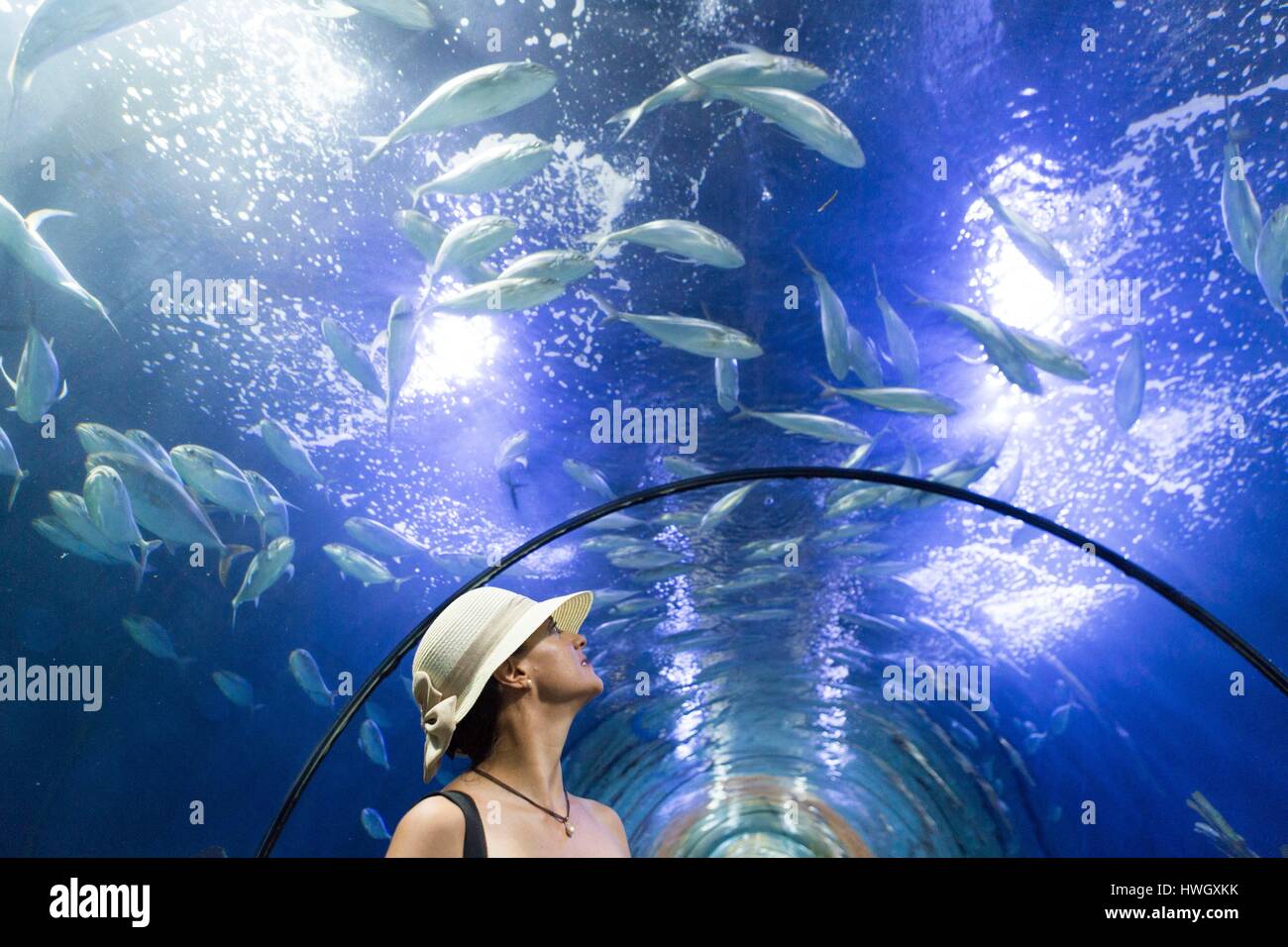 Spain, Valencia, City of Sciences and Arts, Oceanografic, Europe's largest oceanographic park, the Shark Tunnel Stock Photo