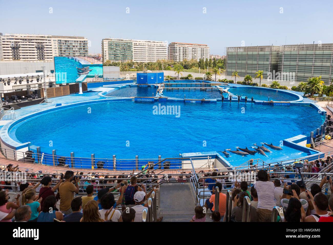 Spain, Valencia, City of Sciences and Arts, Oceanografic, the largest oceanographic park in Europe, the Dolphinarium Stock Photo