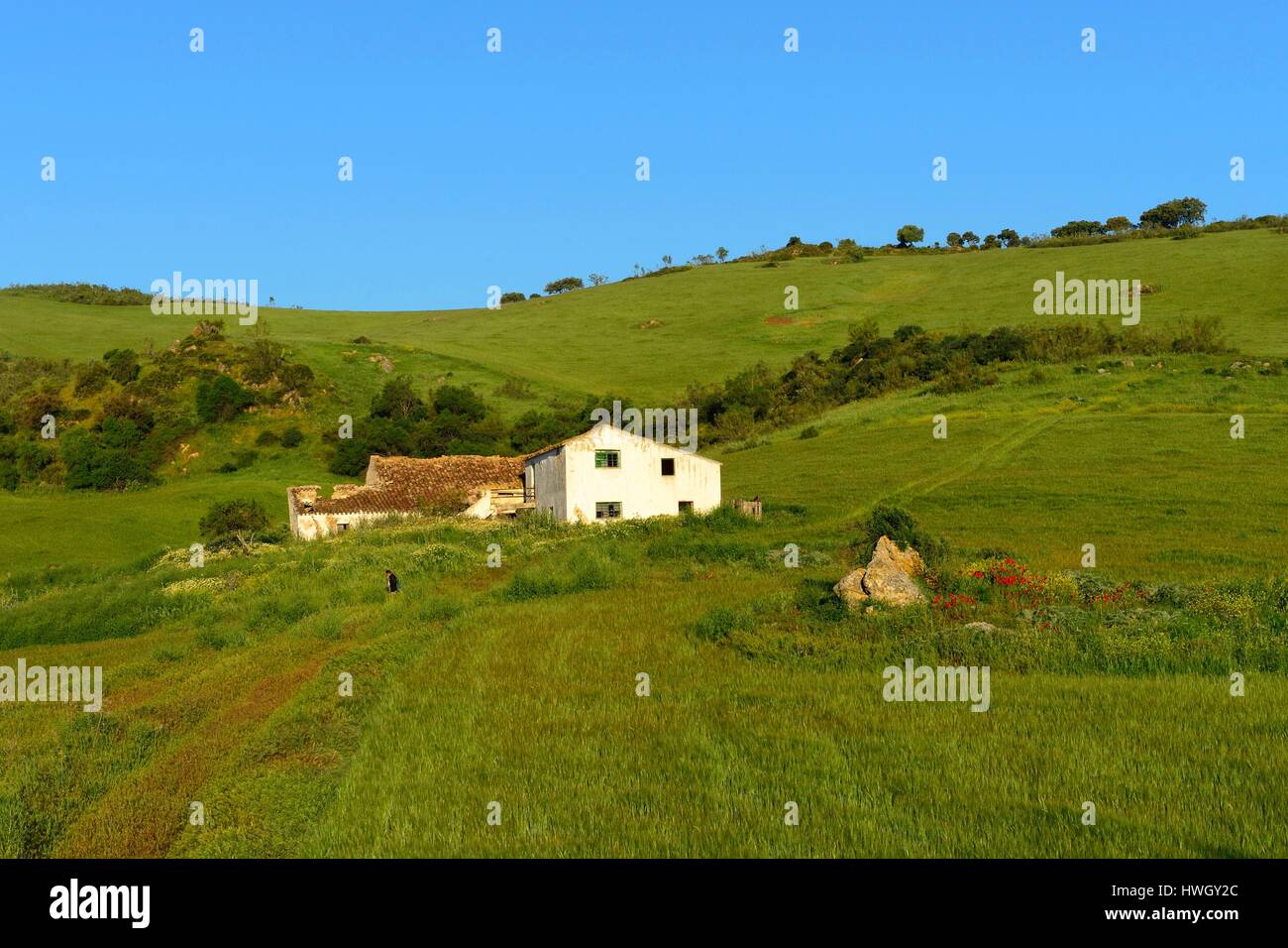 Spain, Andalusia, Arcos de la Frontera, hacienda Stock Photo Alamy