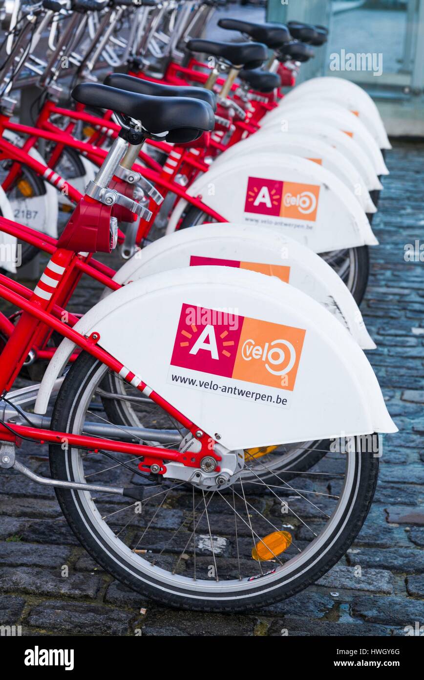 Belgium, Antwerp, newly renovated 't Eilandje docklands, VeloAntwerpen