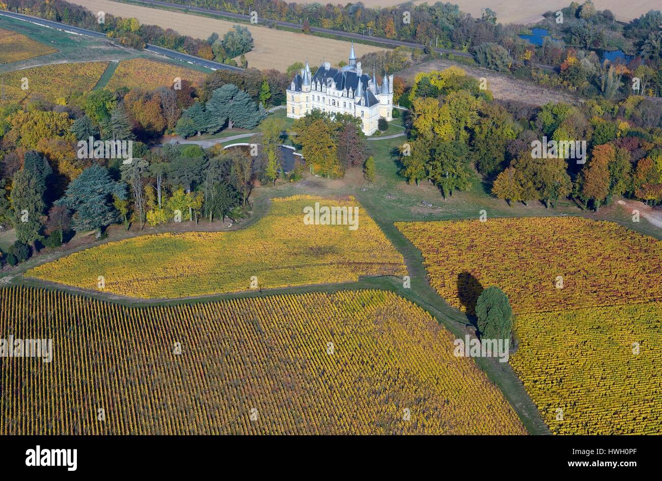 Veuve clicquot vineyard hi-res stock photography and images - Alamy