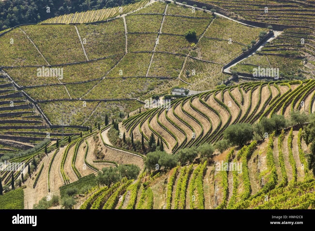 Entre Douro E Minho Province Stock Photos & Entre Douro E Minho ...