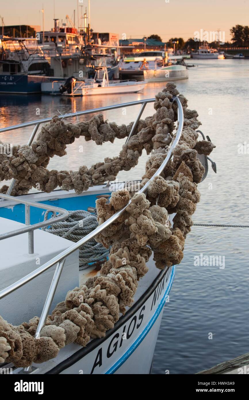 Florida, Tarpon Springs, Anclote River Greek commercial sponge