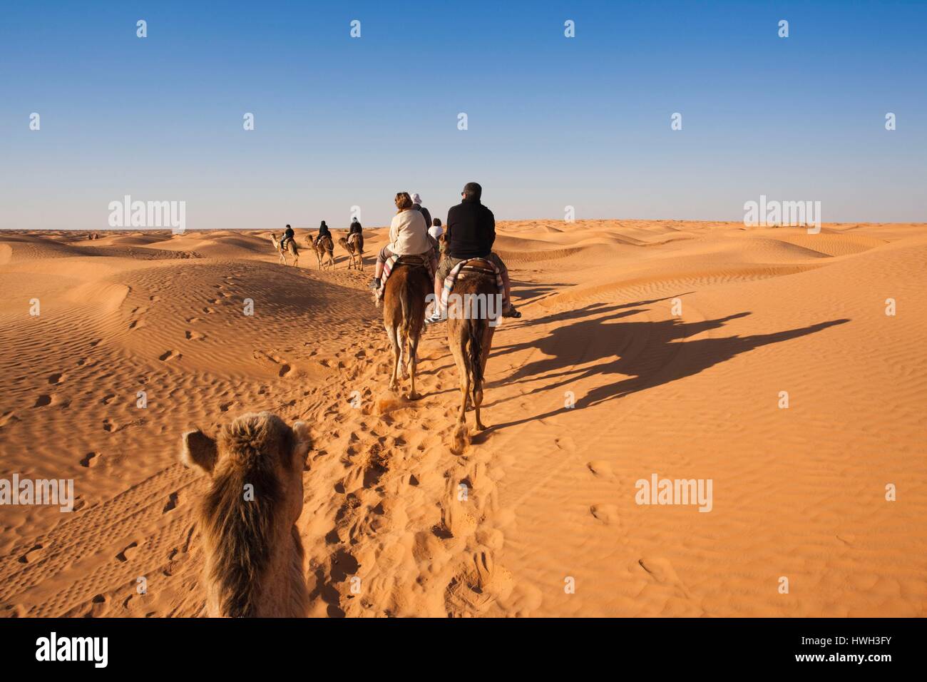 Grand Erg Oriental Desert High Resolution Stock Photography And Images grand-erg-oriental-desert-high-resolution-stock-photography-and-images