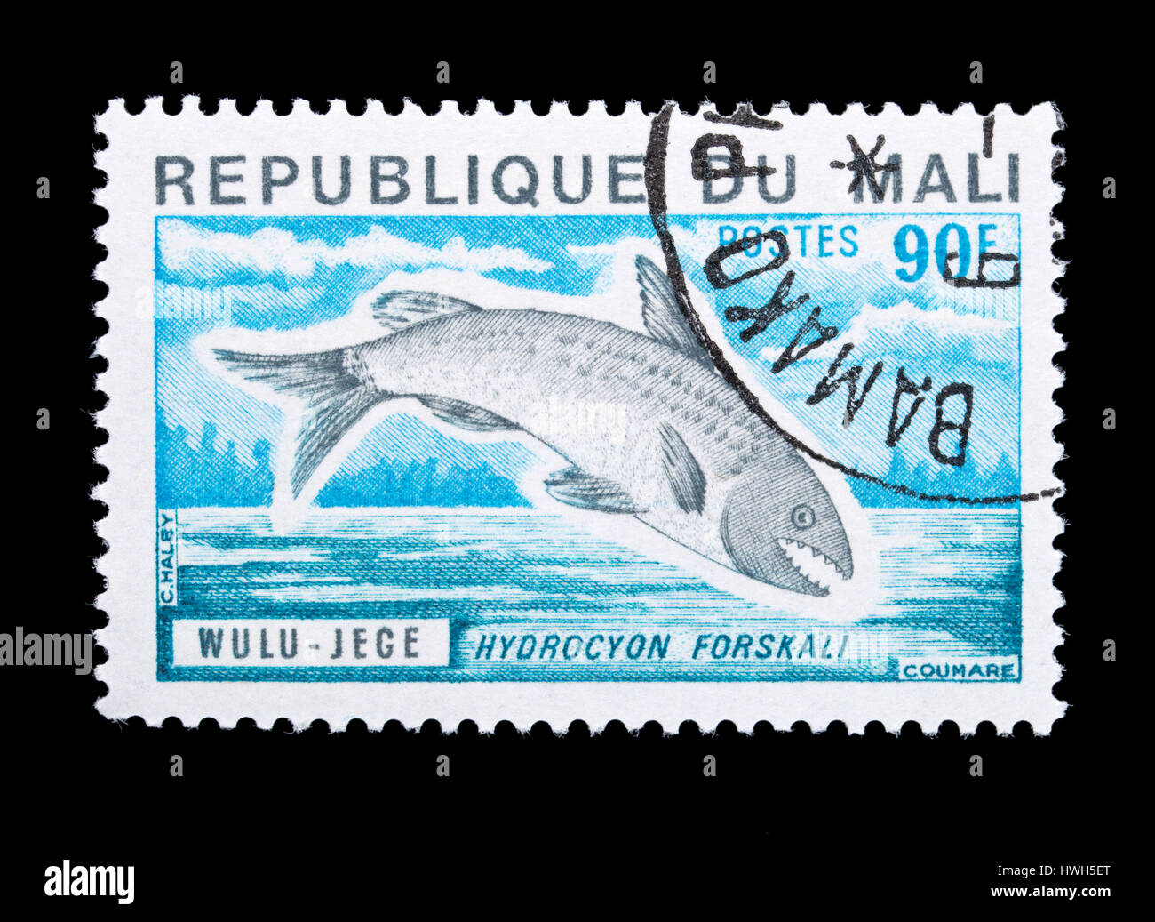 Postage stamp from Mali depicting a Elongate Tigerfish (Hydrocyon forskali) Stock Photo