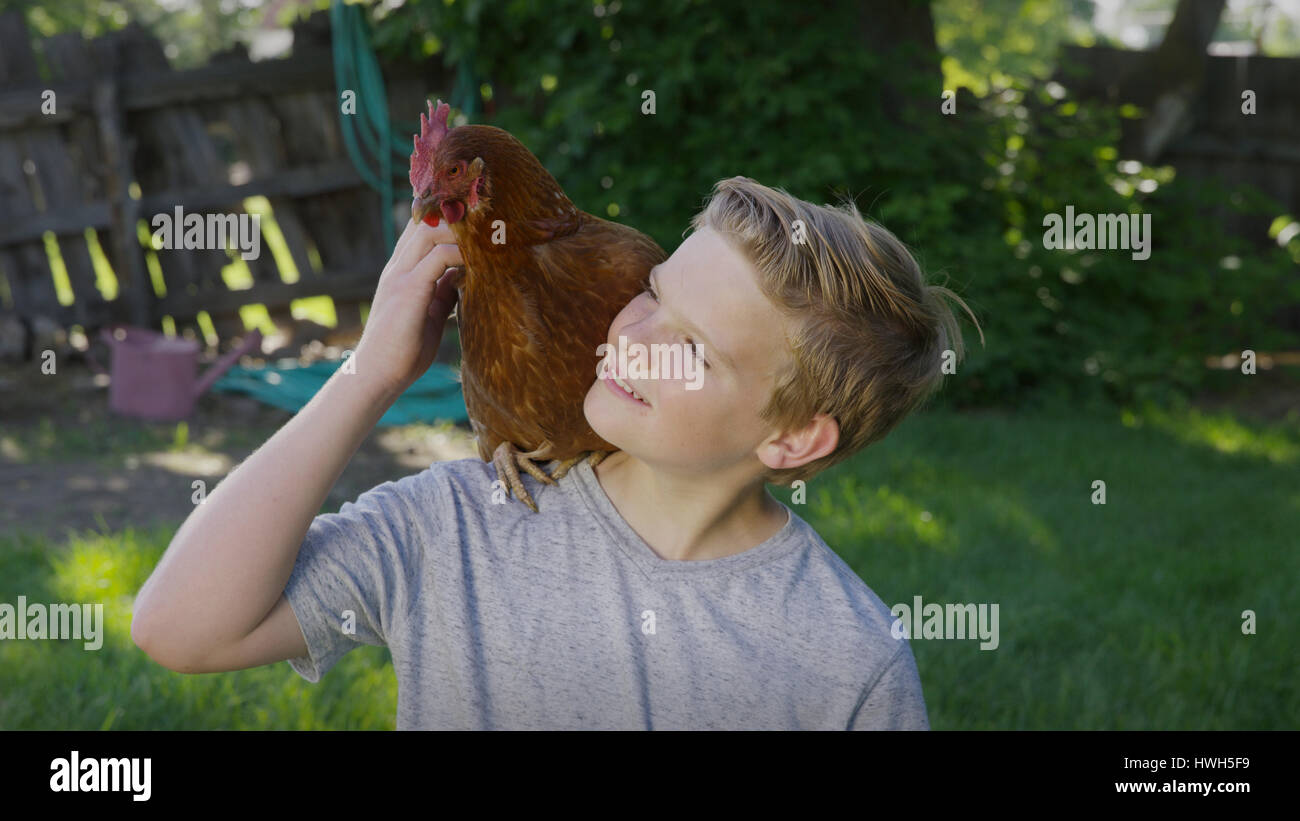 High angle view of smiling boy petting rooster on shoulder in backyard Stock Photo