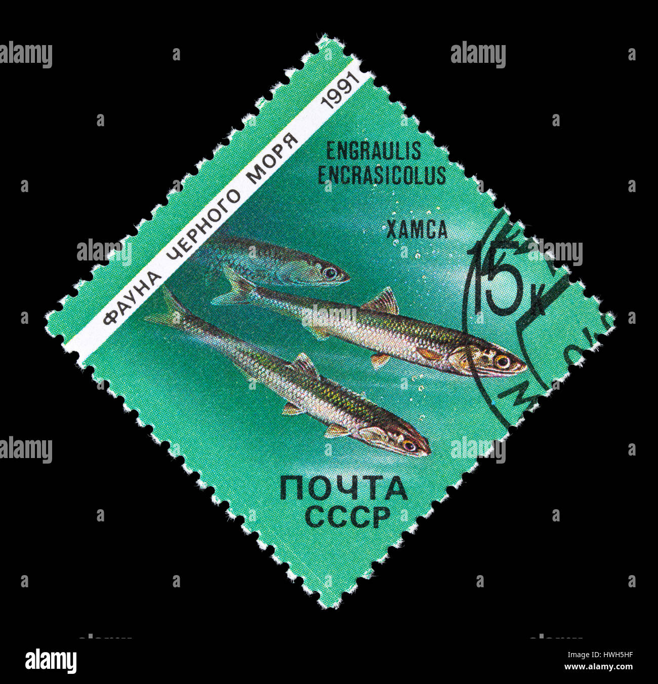 Postage stamp from the Soviet Union depicting European anchovy (Engraulis encrasicolus) Stock Photo