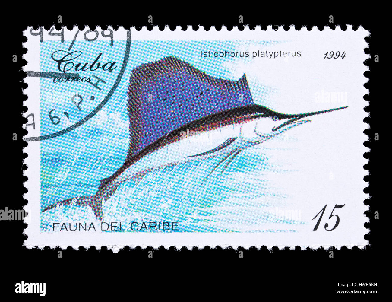 indo-pacific-sailfish-istiophorus-platypterus-hi-res-stock-photography