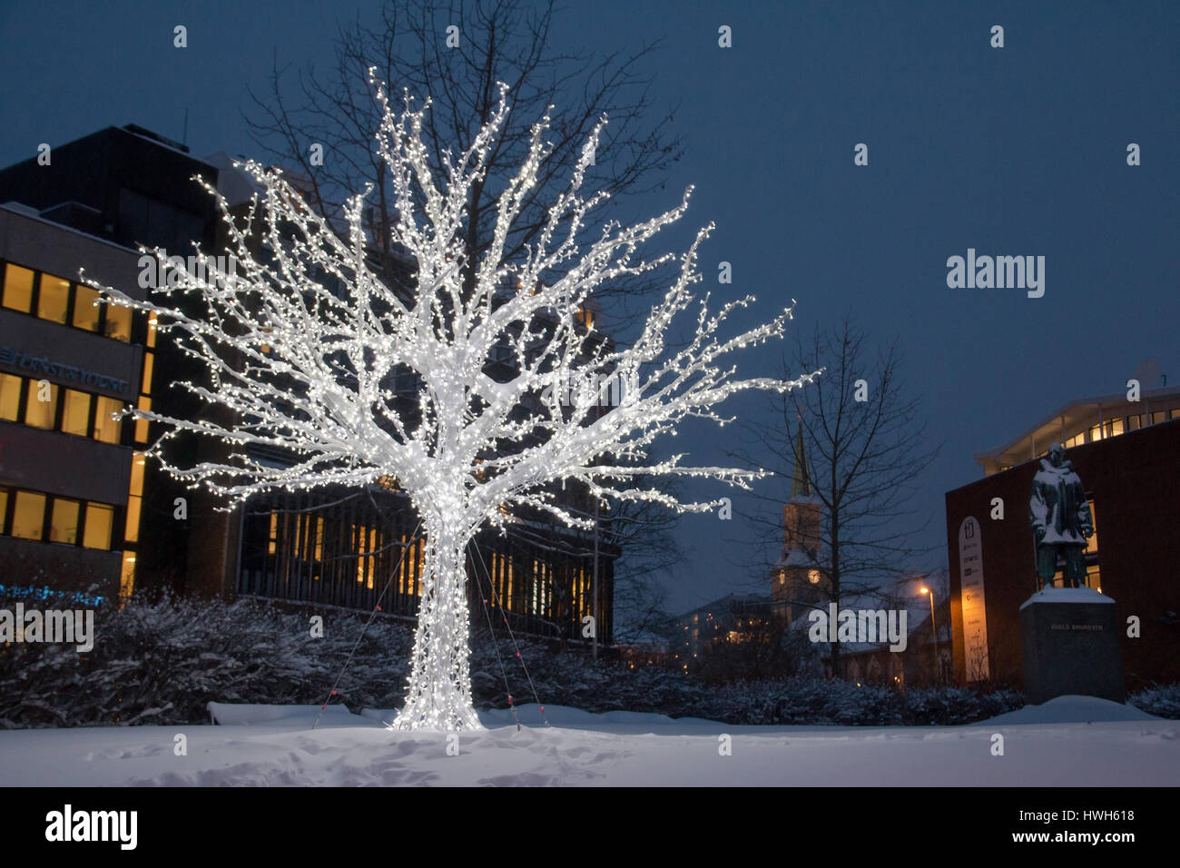 Christmas in Troms?, Norway, Troms, Troms?, Christmas, Christmas tree, cathedral church, polar night, seasons, winters, snow, Norway, Troms, Troms?, x Stock Photo