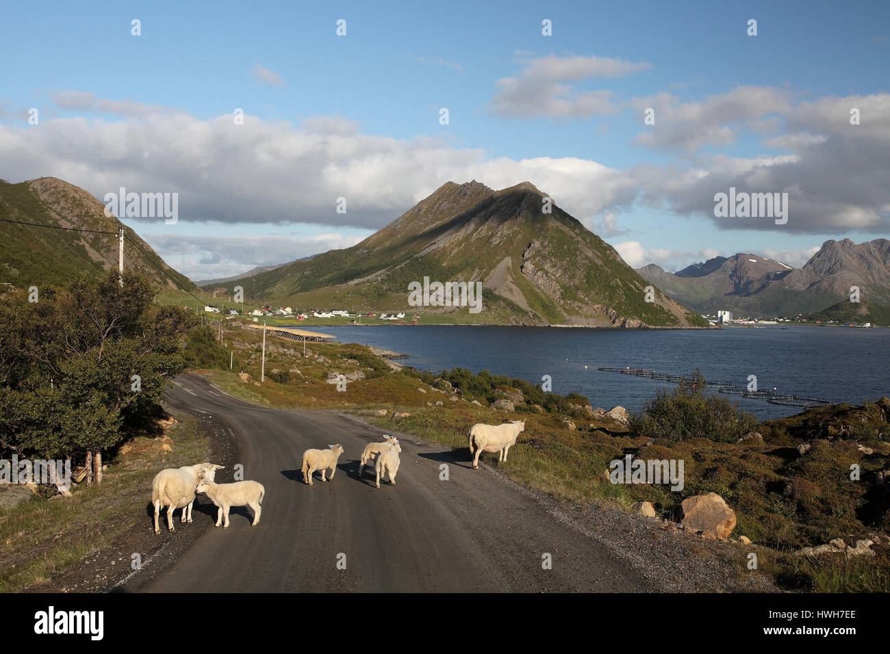 "K?stenstrasse with H ? ?ydal on Vester ? ? len, Norway; Norway; Vester ? ? len; long ? ?ya; H ? ?ydal; K?stenstrasse, coastal road, mountains, mounta Stock Photo