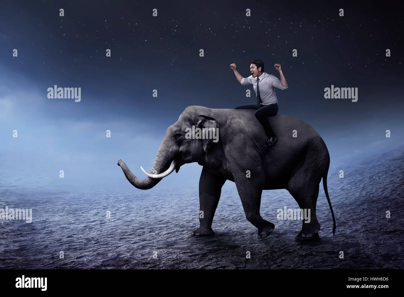 Asian Business Man Riding Elephant Walking On The Desert Stock Photo Alamy Asian Business Man Riding Elephant Walking On The Desert Stock Photo Alamy
