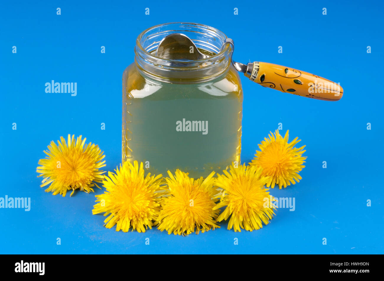 Dandelion honey and blossom, Taraxacum officinale, dandelion honey and blossom, Taraxacum officinale dandelion, , Dandelion honey and blossom / (Tarax Stock Photo