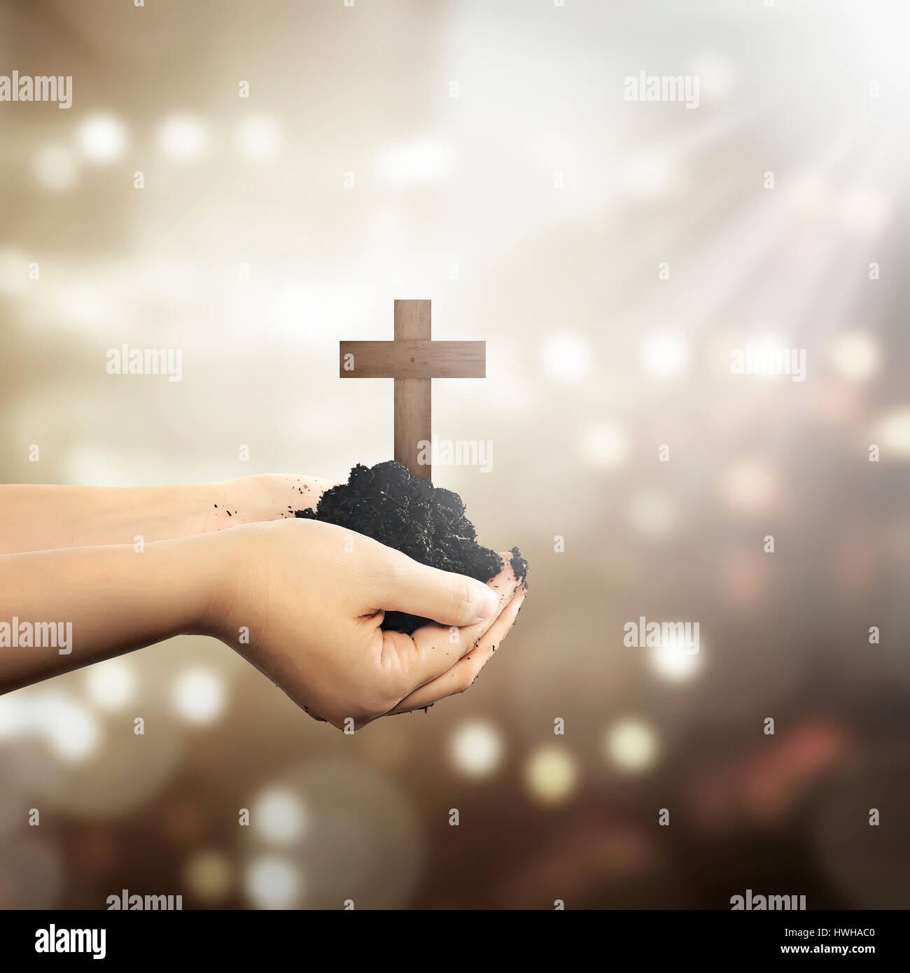 My Image 26