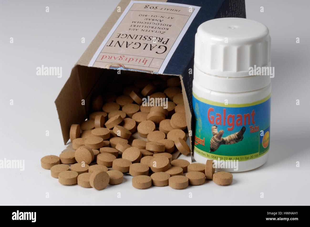 Greater Galangal pills, Alpinia galanga Galgant Presslinge Gro ? ?er Galgant, Thai ginger, inside, studio, indoor, ginger plants, Zingiberaceae, free  Stock Photo