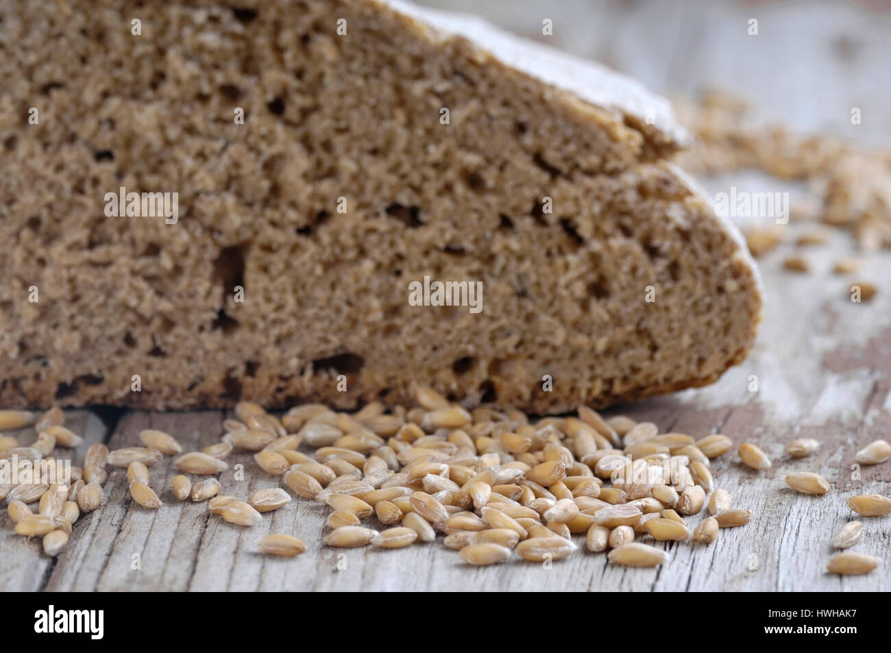 Spelt Wheat bread and grains, Triticum spelta spelt bread and punch inside, studio, indoor, Spelt Wheat bread and grains / (Triticum spelta) / Dinkelb Stock Photo