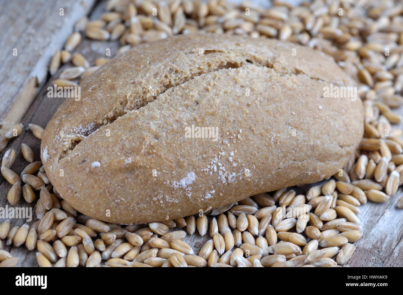 Spelt Wheat roll and grains, Triticum spelta spelt bread roll and punch inside, studio, indoor, bread rolls,, Spelt Wheat roll and grains / (Triticum  Stock Photo