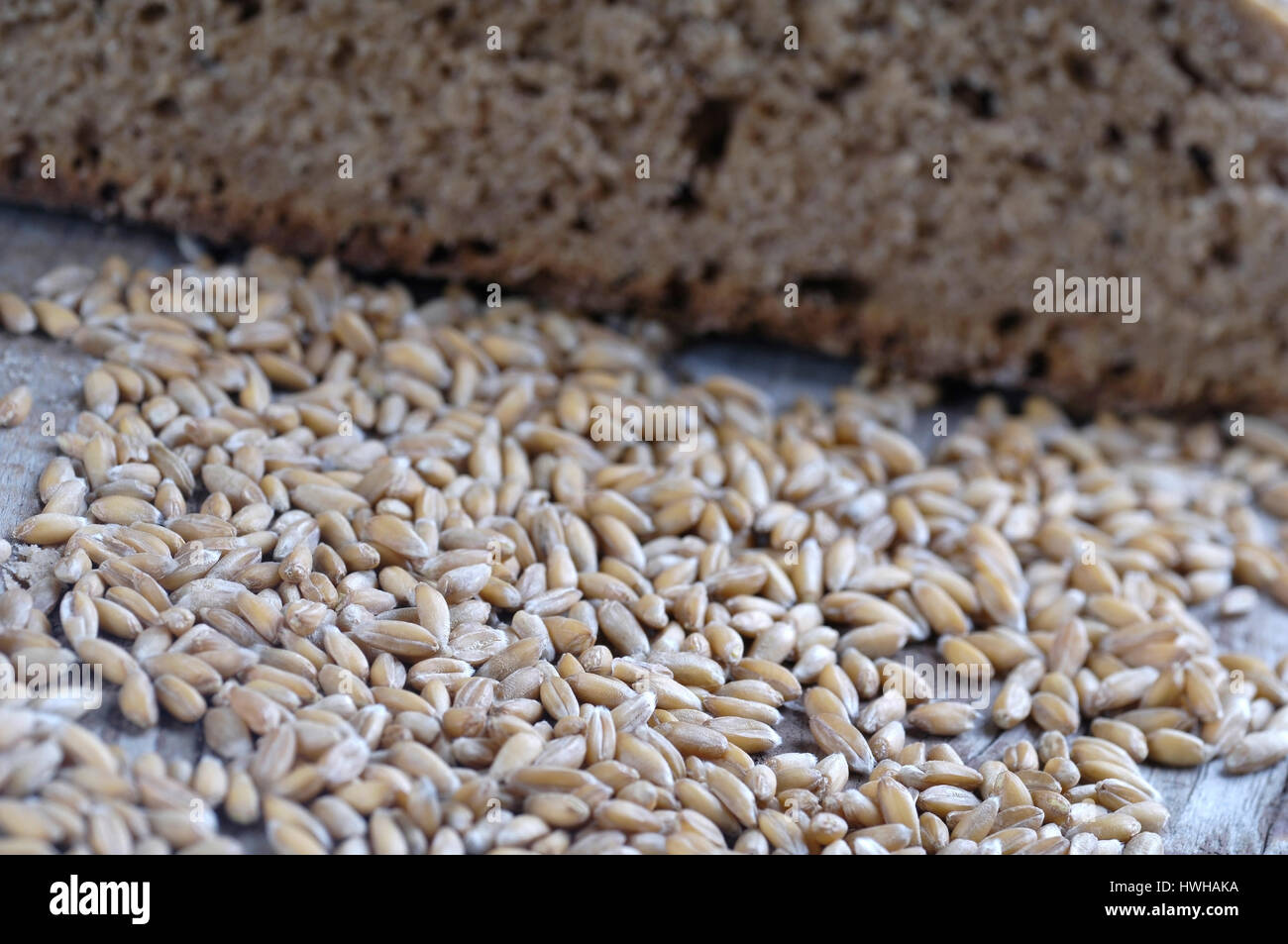 Spelt Wheat bread and grains, Triticum spelta spelt bread and punch inside, studio, indoor, Spelt Wheat bread and grains / (Triticum spelta) / Dinkelb Stock Photo