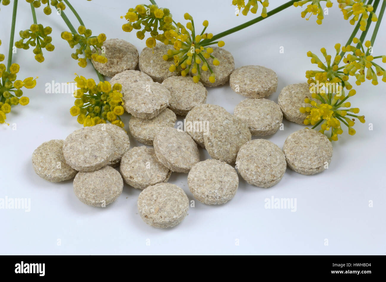 Fennel pill, cut out, object, Foeniculum vulgare, common fennel, wild