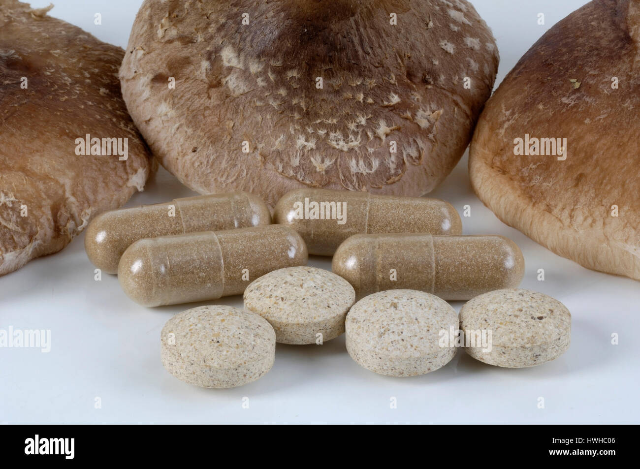 Shiitake Mushrooms. powder in a pill, homoeopathy, cut out, object, Lentinus edodes, Shiitake mushroom, powder in a capsule, Lentinus edodes food mush Stock Photo