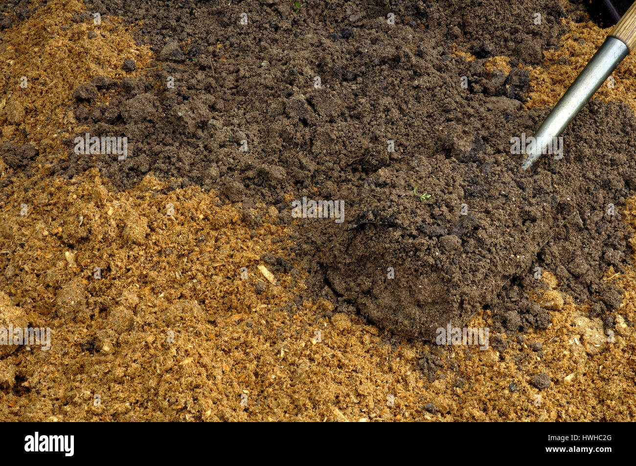 Mushroom breeding, cover to the substrate earth with garden ground, Pilzzucht, abdecken der Substraterde mit Gartenboden Stock Photo