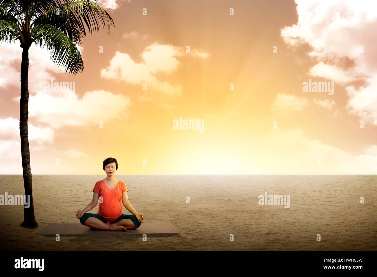 Tree pose yoga woman alone hi-res stock photography and images - Alamy