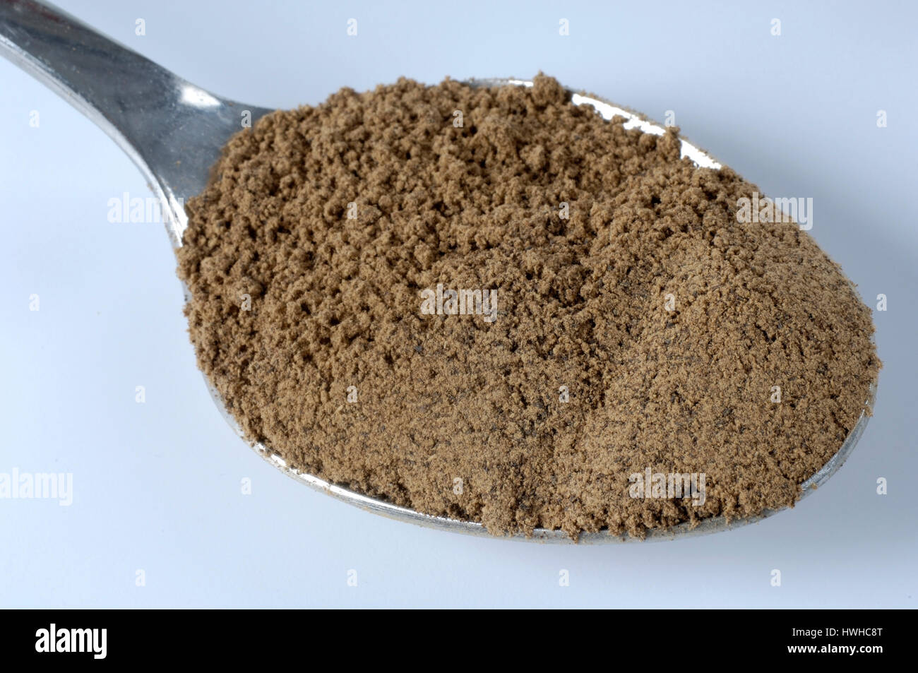 Reishi powder, cut out, object, Ganoderma lucidum, shining Lackporling powder, Ganoderma lucidum remedial mushrooms, free plates, object , object / (G Stock Photo