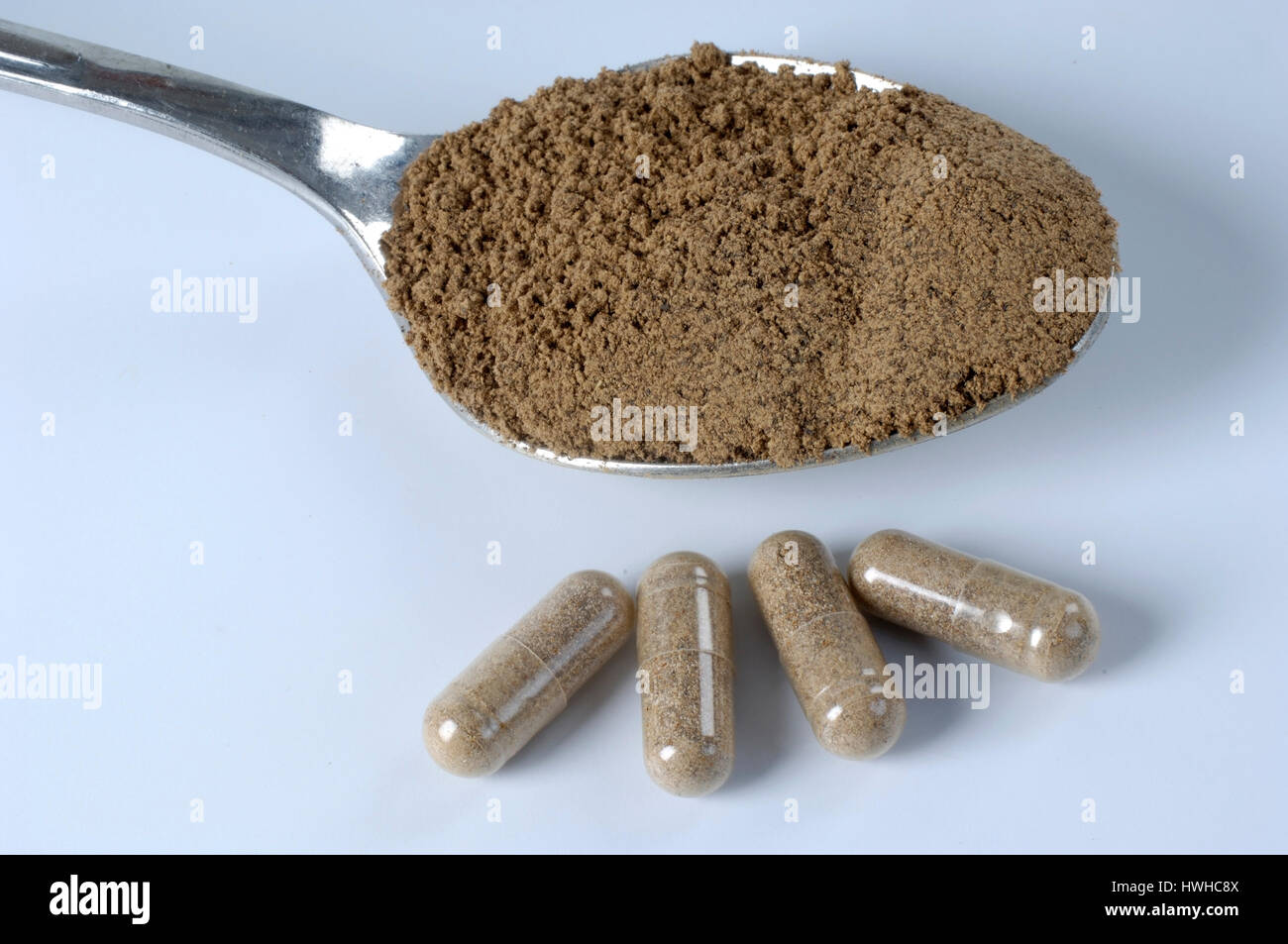 Reishi powder and pills, cut out, object, Ganoderma lucidum, shining Lackporling powder and tablets, Ganoderma lucidum remedial mushrooms, free plates Stock Photo