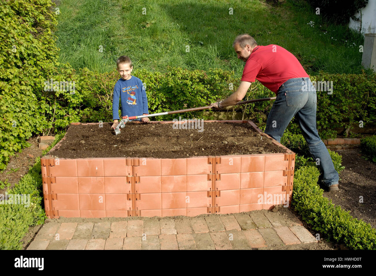 Man and boy plant high-level patch, Mann und Junge bepflanzen Hochbeet Stock Photo