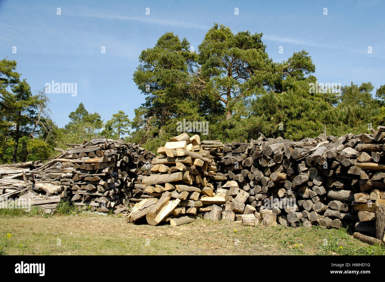 Resting place for firewood, wooden logs chimney wood, firewood, wood , Lagerplatz fuer Brennholz, Holzscheite / Kaminholz, Brennholz, Holz Stock Photo